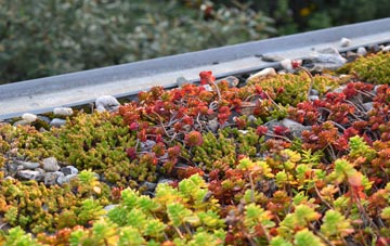 the cost of Bishop Kinkell green roof installation