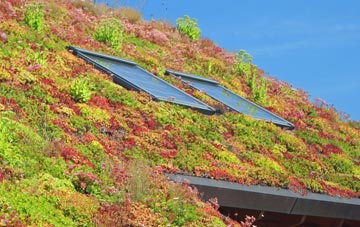 Bishop Kinkell living roof systems