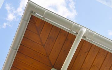 Bishop Kinkell soffit types